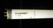 FLUORESCENT BULB, F32T8TL765PLUS 30/48"