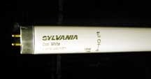 FLUORESCENT BULB, F25T12CW-33