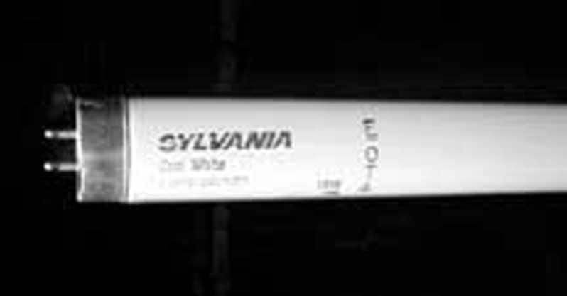 FLUORESCENT BULB, 24", 20 WATT, F20T12CW, 30 PER CASE
